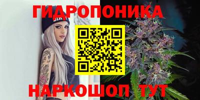 spice Нальчик